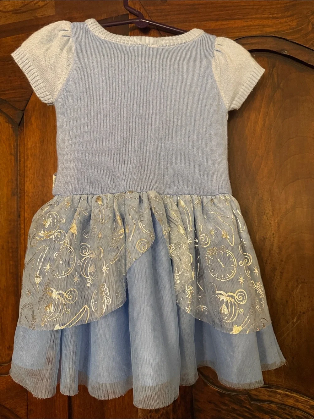 Disney Blue Princess Carriage Kids Costume Dress